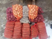 Marchew burak po 12 kilo