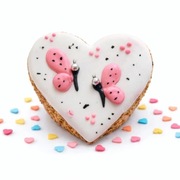 Doctor horse serduszko dla koni love me EQUKAMELA