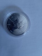 KANADYJSKI LIŚĆ KLONOWY  2019 ROK  UNCJA SREBRA, STAN MENNICZY