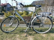 Rower męski Gazelle chamonix C8 comfort