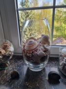 Szklana dekoracja do wypełnienia kwiatami lub kompozycją muszli-wys.34cm