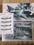 Spitfire Mk. IX c + kalki " Skalski,,