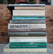 Literatura Piękna - 15 tytułów Sienkiewicz Wyspiański Mickiewicz Kraszewski
