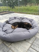 Legowisko dla Psa Posłanie Koszyk Wodoodporne + Imię 100x75cm