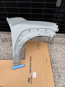 BŁOTNIK PRZÓD PRZEDNI PRAWY  HYUNDAI KONA 2017-> NOWY 66321-J9000