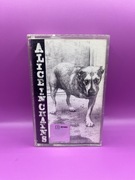 mc kaseta audio magnetofonowa alice in chains