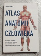 atlas anatomii człowieka