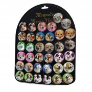 magnes na lodówkę 12szt. PIESKI