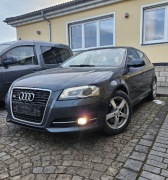 Audi A3 8P 2.0TDI 170PS 