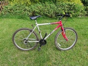 Rower MTB Thaw Universal