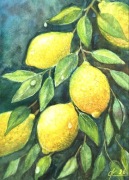 Gałązka cytryny Original Akwarela A4