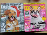 Mój pies i kot 2017