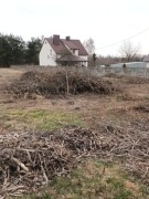 Gałęzie suche 2 letnie telefon 883#663#658 