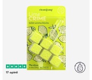 Kostki do WC Cleangang 2szt 