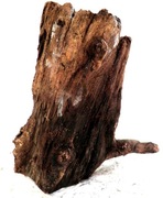 KORZEŃ DO AKWARIUM  168S   22/17/28