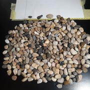 Premium otoczaki kolorowe 10 do 30mm ozdoba akwarium 1,8kg