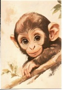 pocztówka Małpka