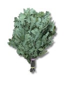 PREMIUM Kaukaska dębowa trzepaczka do sauny