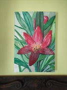 Obraz olejny na płótnie kwiat 63 x 43 cm