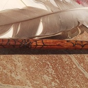 Różdżka James Potter w pudełku Harry Potter