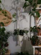 Makrama kwietnik na jednego kwiatka, doniczkę handmade 