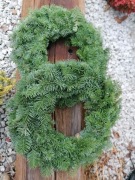 Wianek z jodły nobillis 25 cm Promocja