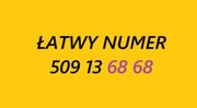 Złoty srebrny łatwy numer 509 13 68 68 BCM starter prosty karta prepaid SIM