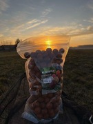 kulki zanętowe KarpR squid orange 20mm 1KG