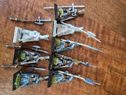 Phoenix guard, metal, oop, wzór z wyprostowaną bronią