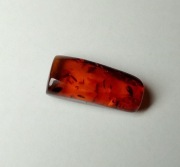 Bursztyn bałtycki bryłka