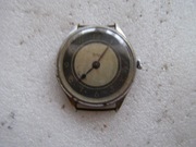 Doxa olbrzymia pasówka