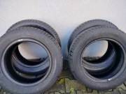 Opony zimowe Dębica 175/65R14