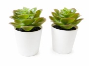 Sztuczne sukulenty w doniczkach 2 szt. dekoracja home decor (110)