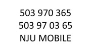 Złoty numer super prosty 503 970 365 Nju Mobile