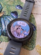 Garmin Forerunner 245 zadbany