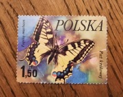 ZNACZEK POLSKI - Paź królowej Papilio machaon piękny motyl dzienny 1,50 zł 