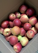 Jabłka Fuji Kiku Fubrax 15 kg