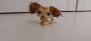 LPS Littlest Pet Shop pies piesek LABRADOODLE