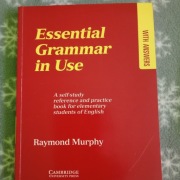 Raymond Murphy gramatyka języka angielskiego