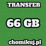 TRANSFER CHOMIKUJ 66 GB BEZTERMINOWO