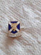 Federacja Piłki Nożnej Szkocji.