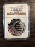 20 złotych 2003, Węgorz Europejski NGC PF69 Zwierzęta Świata