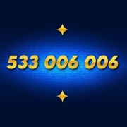 Złoty numer ____ 533 006 006 ____ Platynowy - ViP