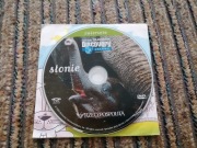 Film Słonie płyta DVD