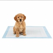 HIT 50 sztuk 60X90 Maty Do Sikania Dla Psów Kotów Podkłady Higieniczne