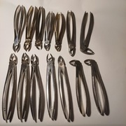 Kleszcze stomatologiczne - zestaw