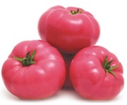 Pomidor Mei Shuai F1 - Nasiona Holenderskie