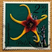 2640, * kasowany, Kwiaty sukulentów - kaktusy