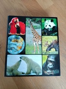 Encyklopedia zwierząt od A do Z