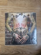 CASTET Kings of Punk / Punk Side of the Moon Winyl LP